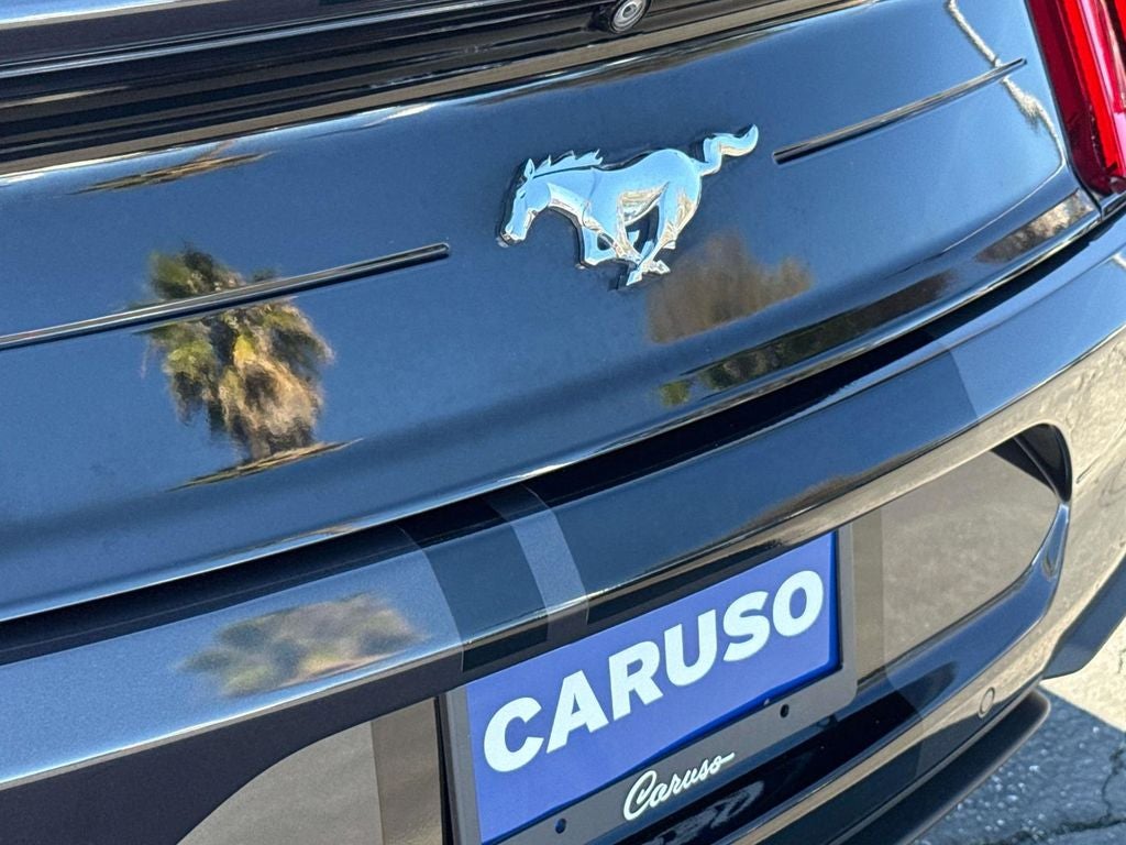 2022 Ford Mustang EcoBoost